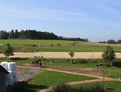 Reitplatz