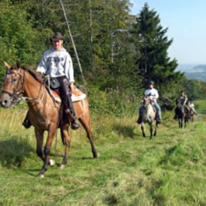 Tolle Ausritte