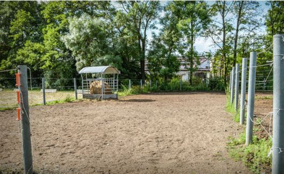 Paddocks Paddocks