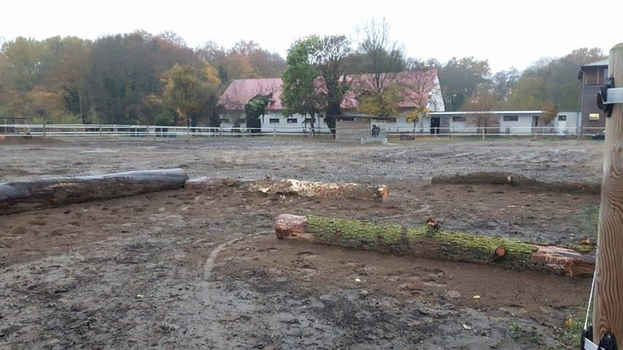 Natürliche Hindernisse Natürliche Hindernisse