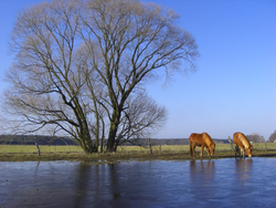 Idylle im Hohen Fläming