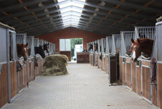 Stallgasse Stallgasse