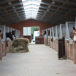 Stallgasse
