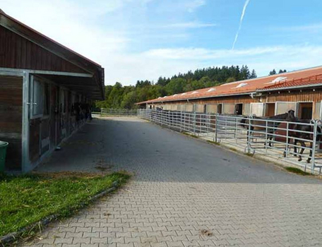 Paddockboxen Paddockboxen
