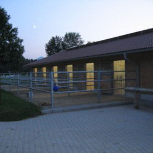 Paddockboxen