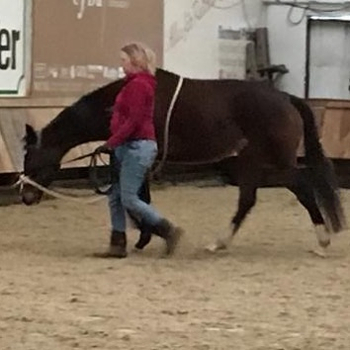 Trainingstherapie