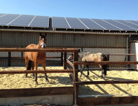 Paddocks Paddocks