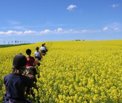 Natur genießen Natur genießen
