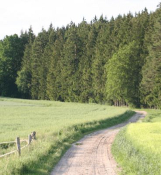 Ausreitgelände Ausreitgelände