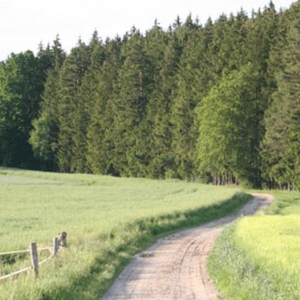 Ausreitgelände