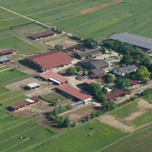 Reiterhof Keller