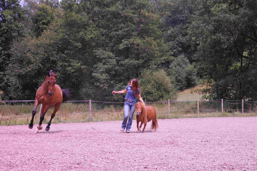 Freiarbeit Freiarbeit