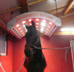 Solarium