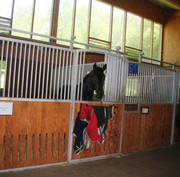 Unsere Pferdeboxen