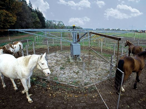 Führanlage