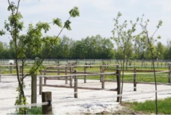 Paddocks