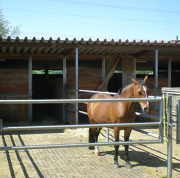 Paddockboxen Paddockboxen