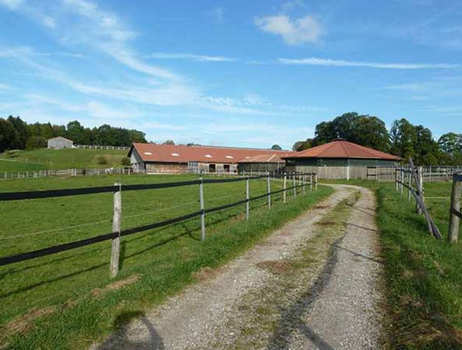 5 Hektar Weideland 5 Hektar Weideland