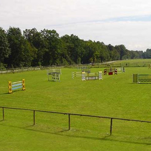 Springplatz