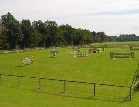 Springplatz Springplatz