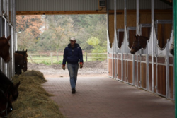 Stallgasse