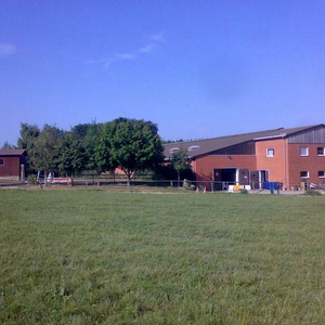 Pferdeweiden