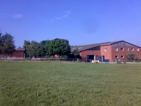 Pferdeweiden