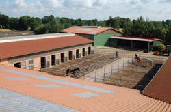 Innenhof