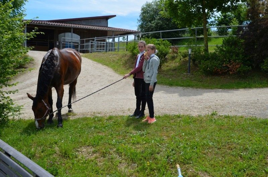 Reitabzeichen Pfingsten 2017 Reitabzeichen Pfingsten 2017