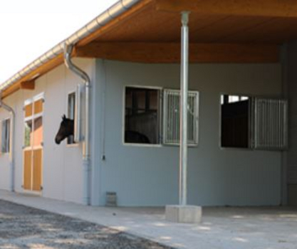 Fensterboxen Fensterboxen