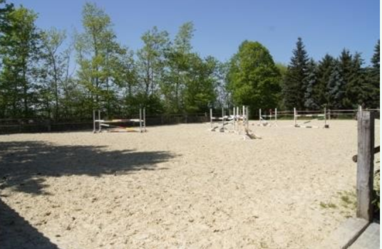 Springplatz