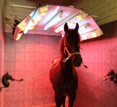Solarium Solarium