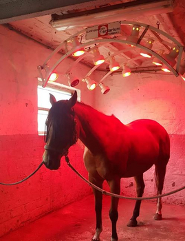 Solarium Solarium