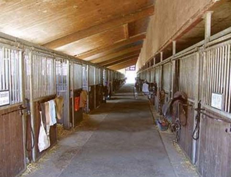 Stallgasse Stallgasse