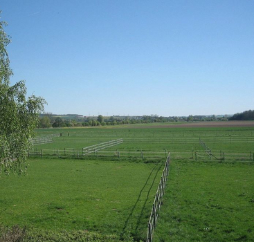 Pferdeweiden