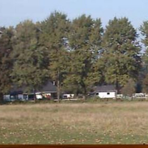 Pferdeweide