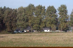 Pferdeweide