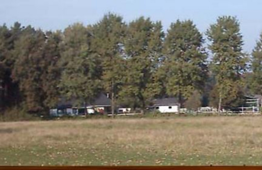 Pferdeweide