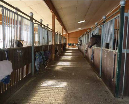 Stallgasse Stallgasse