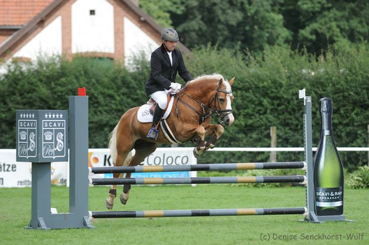 Argonith hat auch Spaß beim Springen auf dem Internationalen Haflingerchampionat in Steinhagen und wird Vizemeister der kleinen Tour Vielseitigkeit 2017 Argonith hat auch Spaß beim Springen auf dem Internationalen Haflingerchampionat in Steinhagen und wird Vizemeister der kleinen Tour Vielseitigkeit 2017
