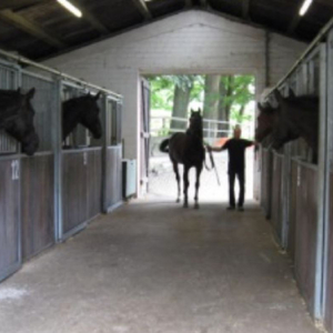 Stallgasse