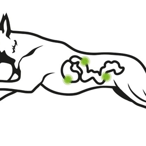 Unser eigen, hergestelltes Hundefutter...