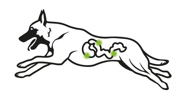 Unser eigen, hergestelltes Hundefutter... Unser eigen, hergestelltes Hundefutter...