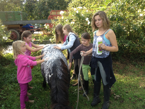 Floh wird eingeseift und geduscht :-)