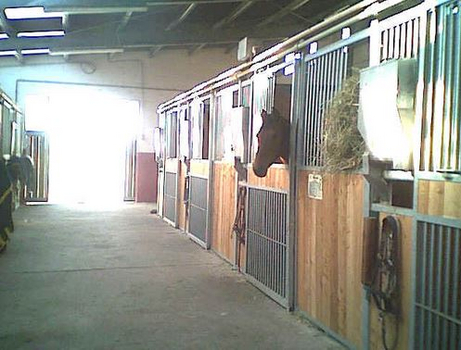 Stallgasse Stallgasse