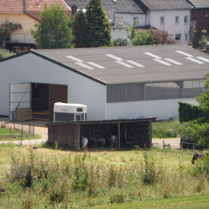 Reithalle