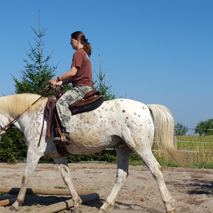 Spaß am Training !!!