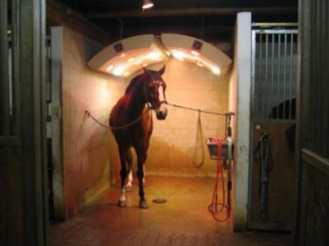 Solarium Solarium