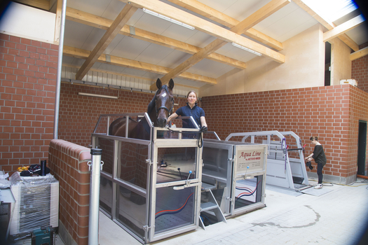 Equine Spa Equine Spa