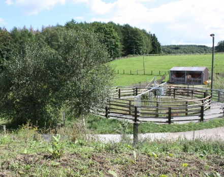 Führanlage Führanlage